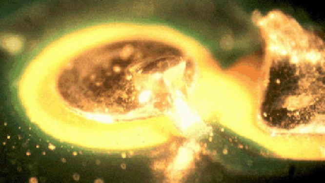 Quality Solutions Blog Posts